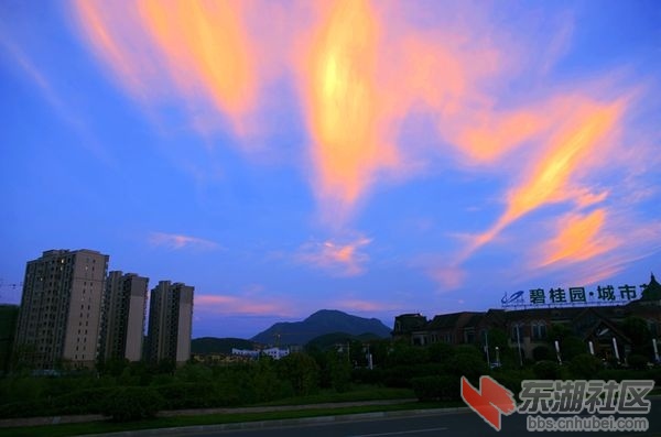 IMGP2080_副本_副本.jpg