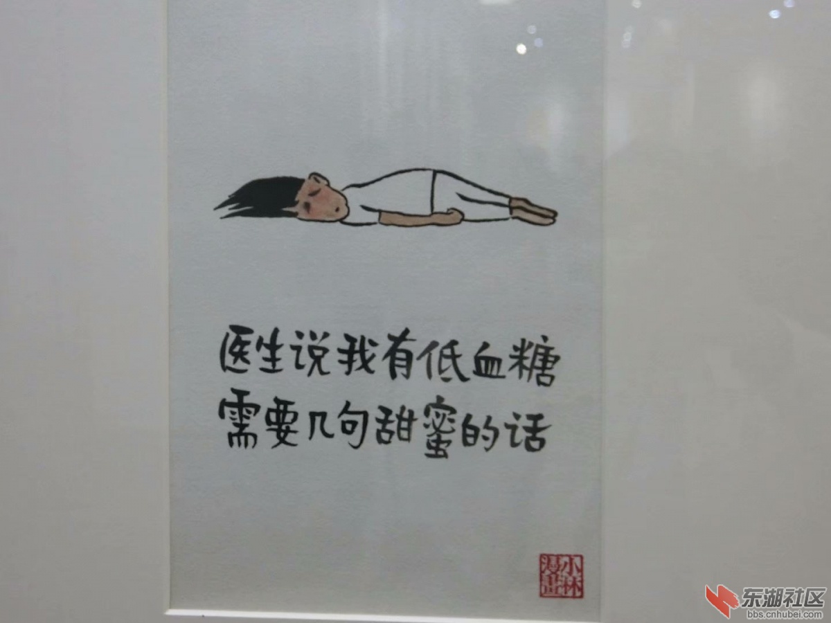 CIMG2571.jpg