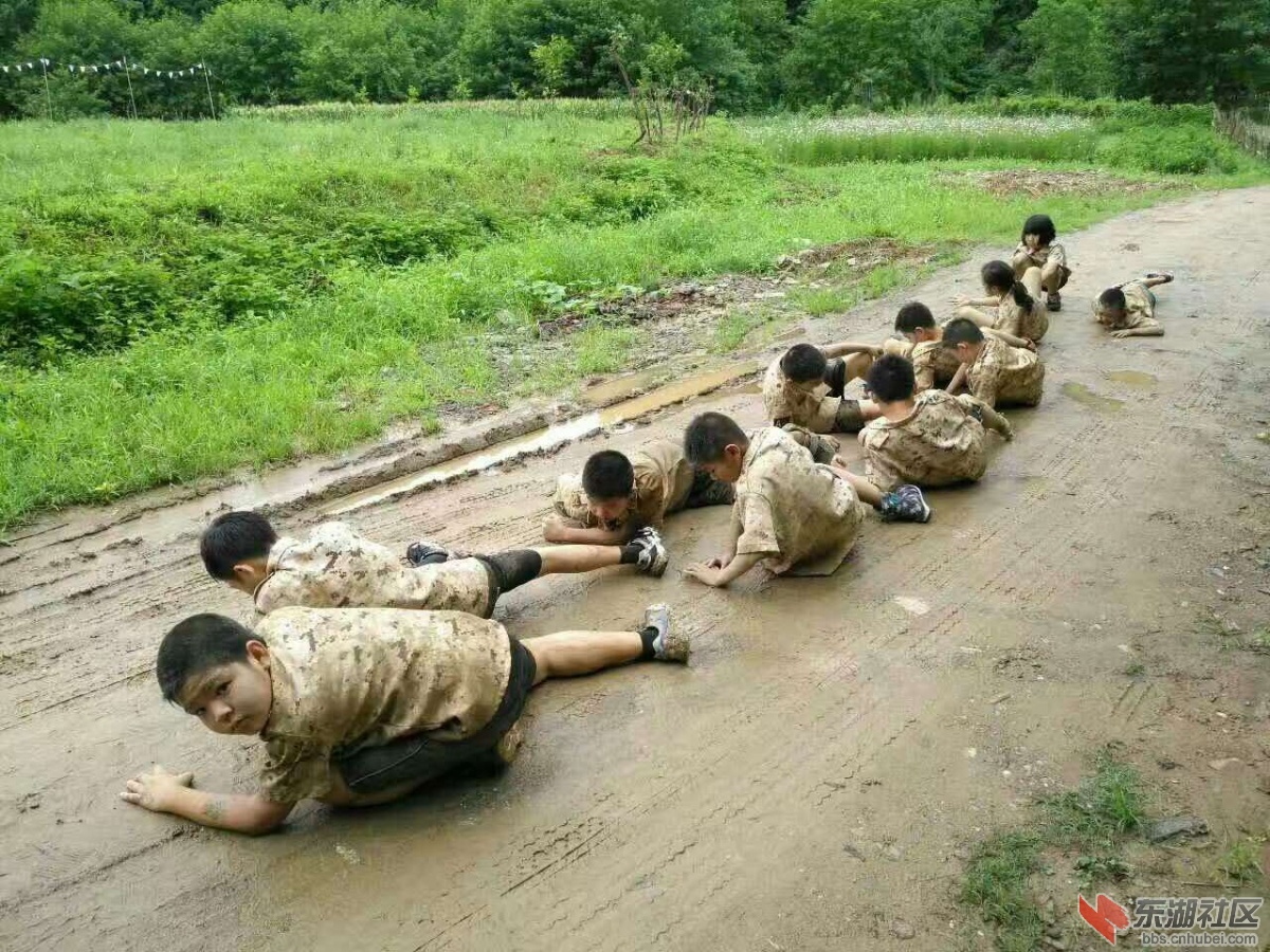 微信图片_20170724111627.jpg