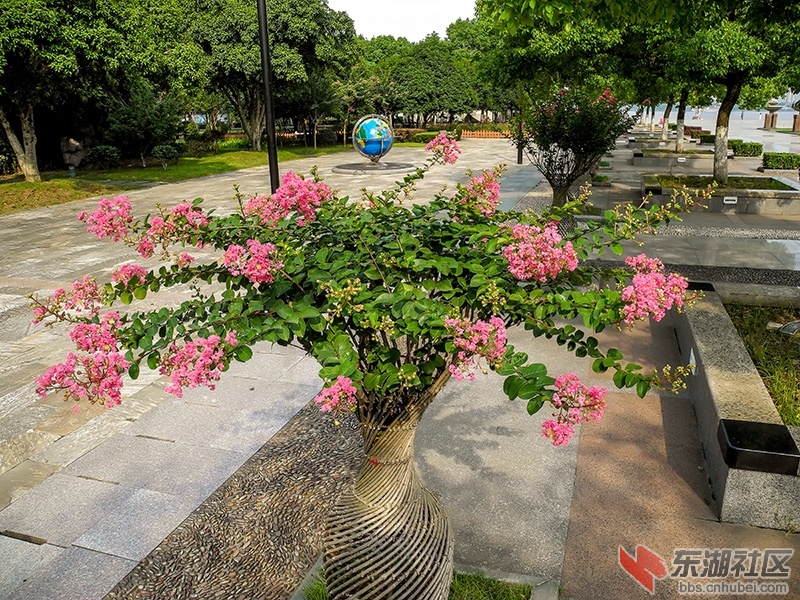 13    DSCN5172_副本.jpg