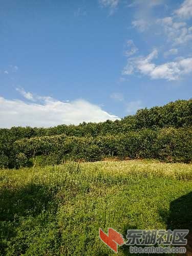 IMG20180712181342.jpg