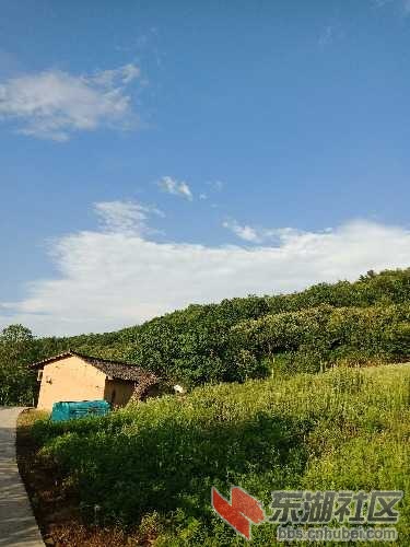 IMG20180712181337.jpg