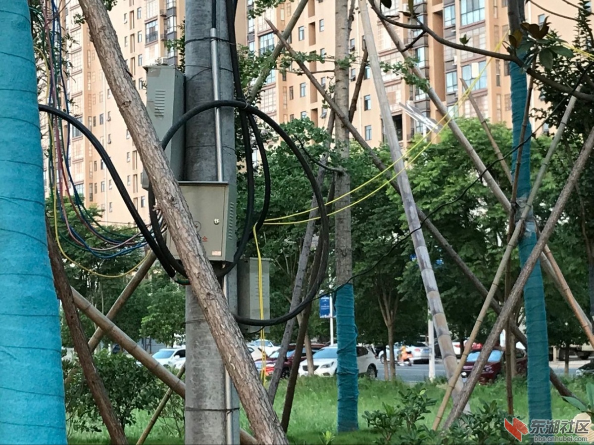 偷电的电线