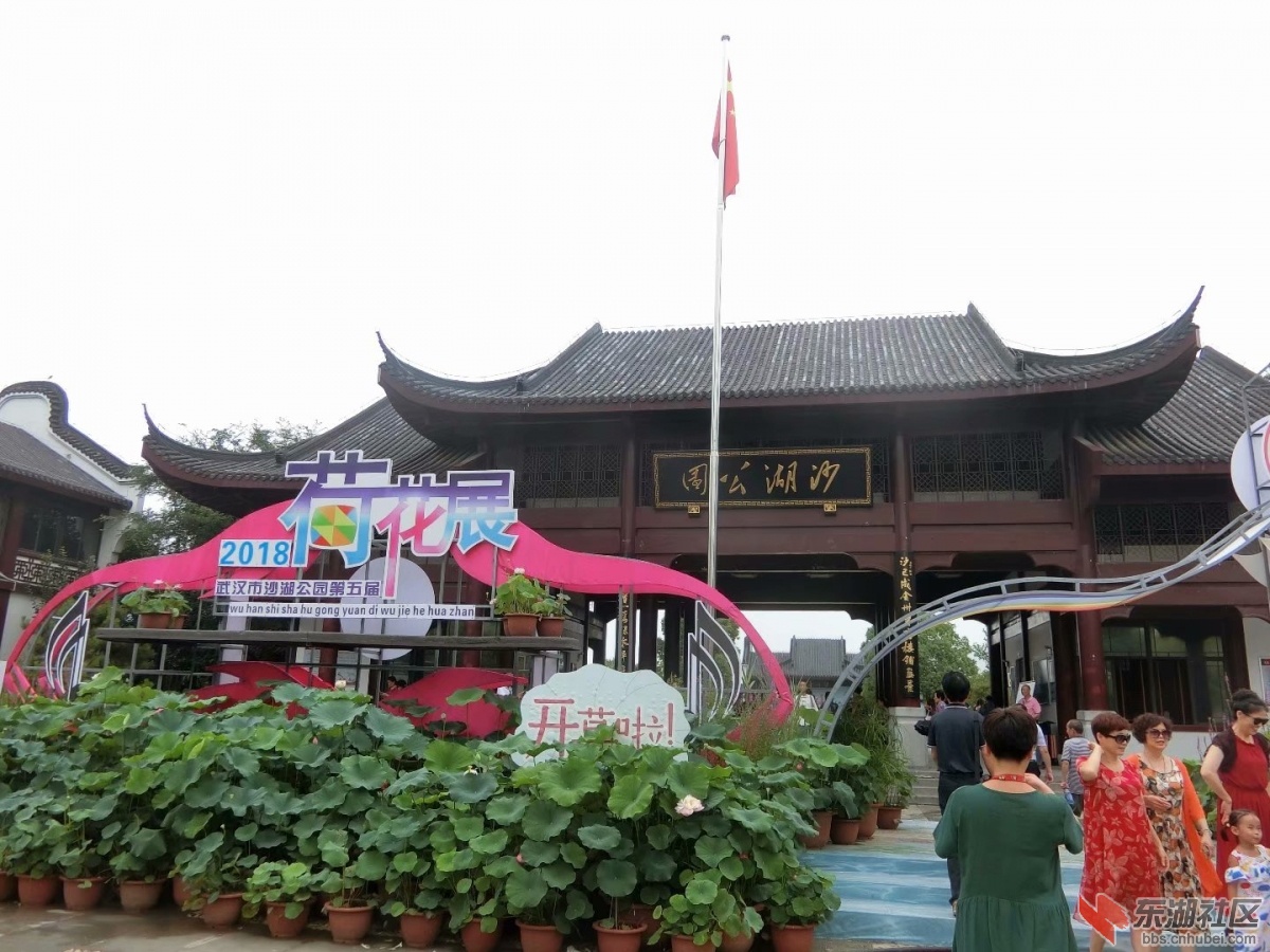 CIMG9494.jpg