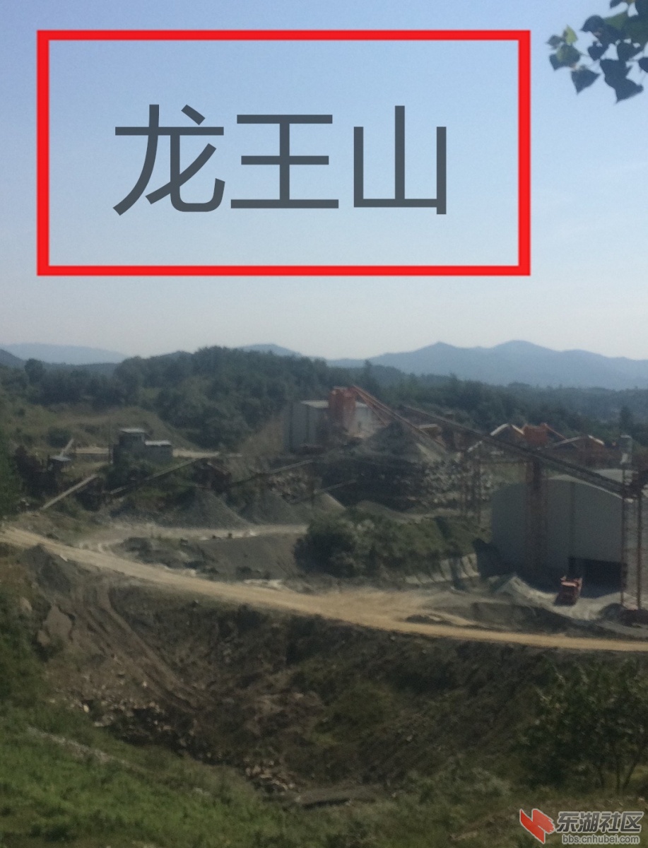 龙**1_看图王.jpg