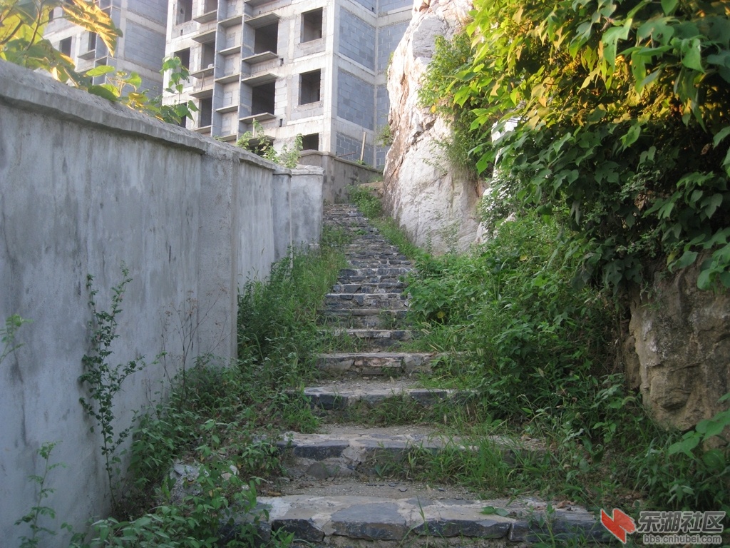 01.jpg