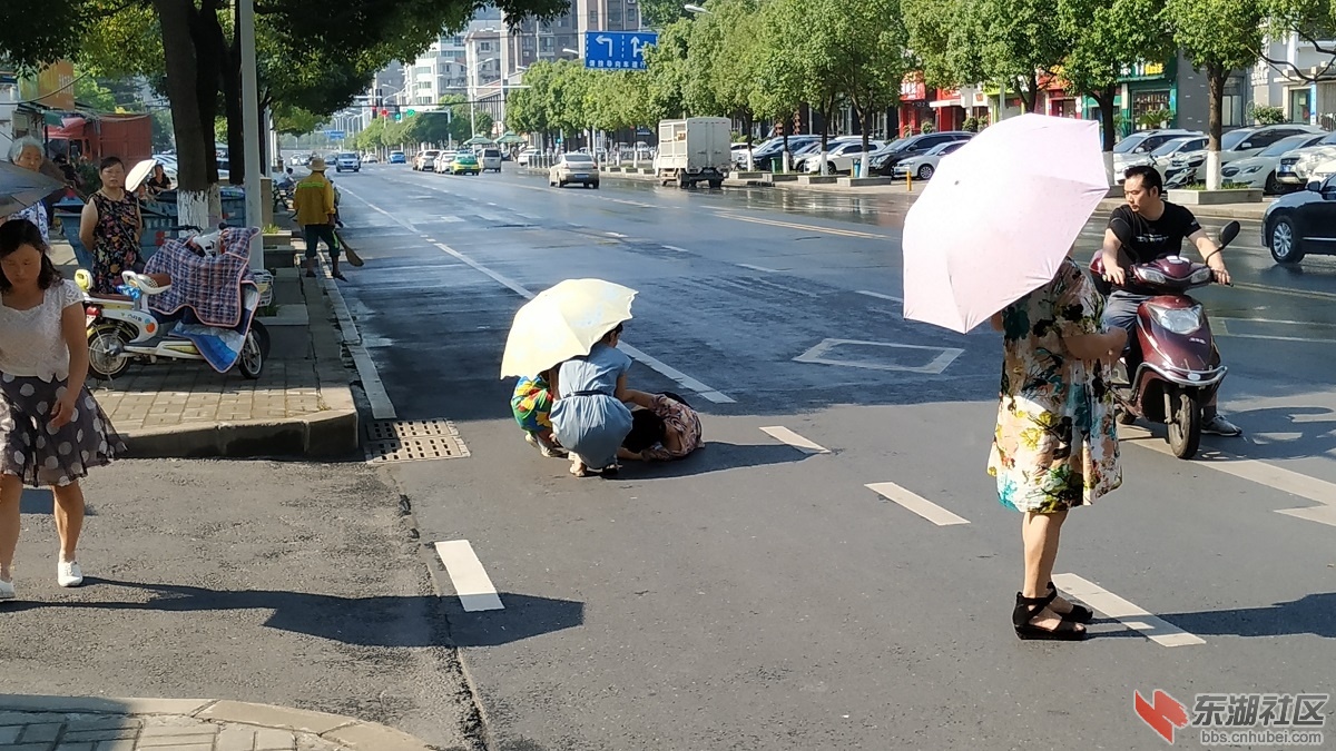 IMG_20180718_090340.jpg