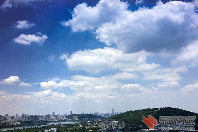 2.曾院平摄影.JPG