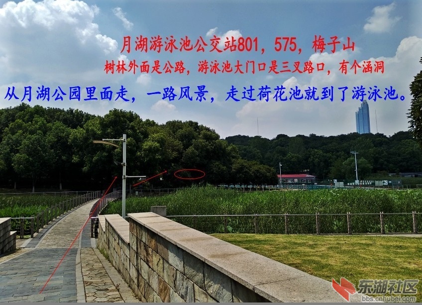 IMG_20180717_134819_conew3.jpg