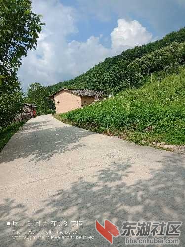 IMG20180722155514.jpg
