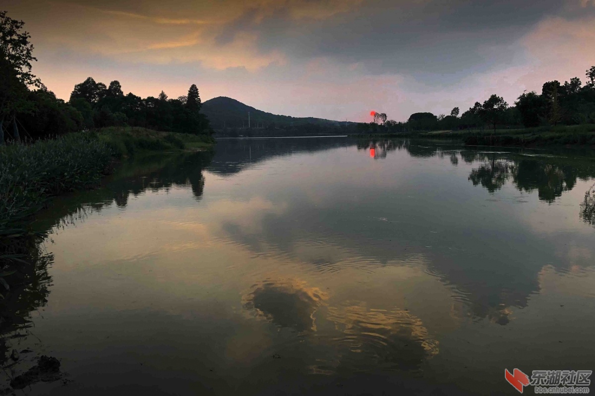 12. 安静的东湖喻家湖水面一景，7月24日拍摄。曾院平摄影.jpg