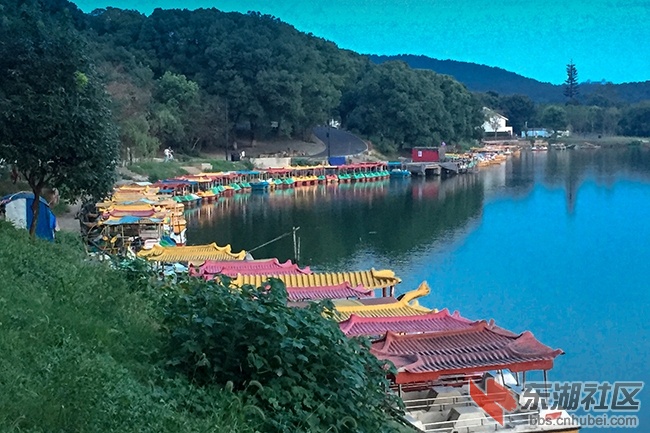 7.东湖绿道喻家湖同一机位原景曾院平摄影.JPG