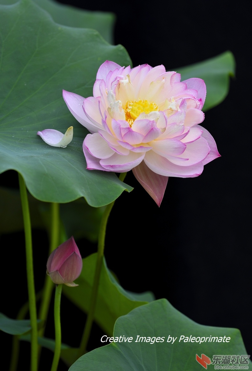 _DSC7766.jpg