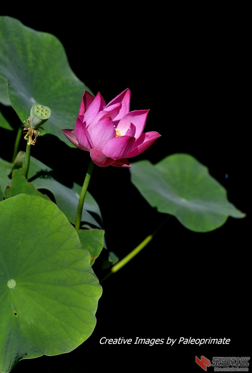 _DSC7680.jpg