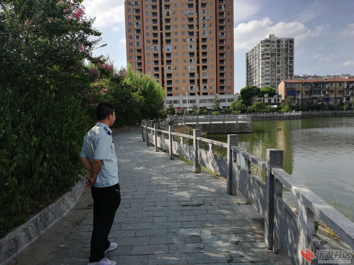 前川老河道1.jpg