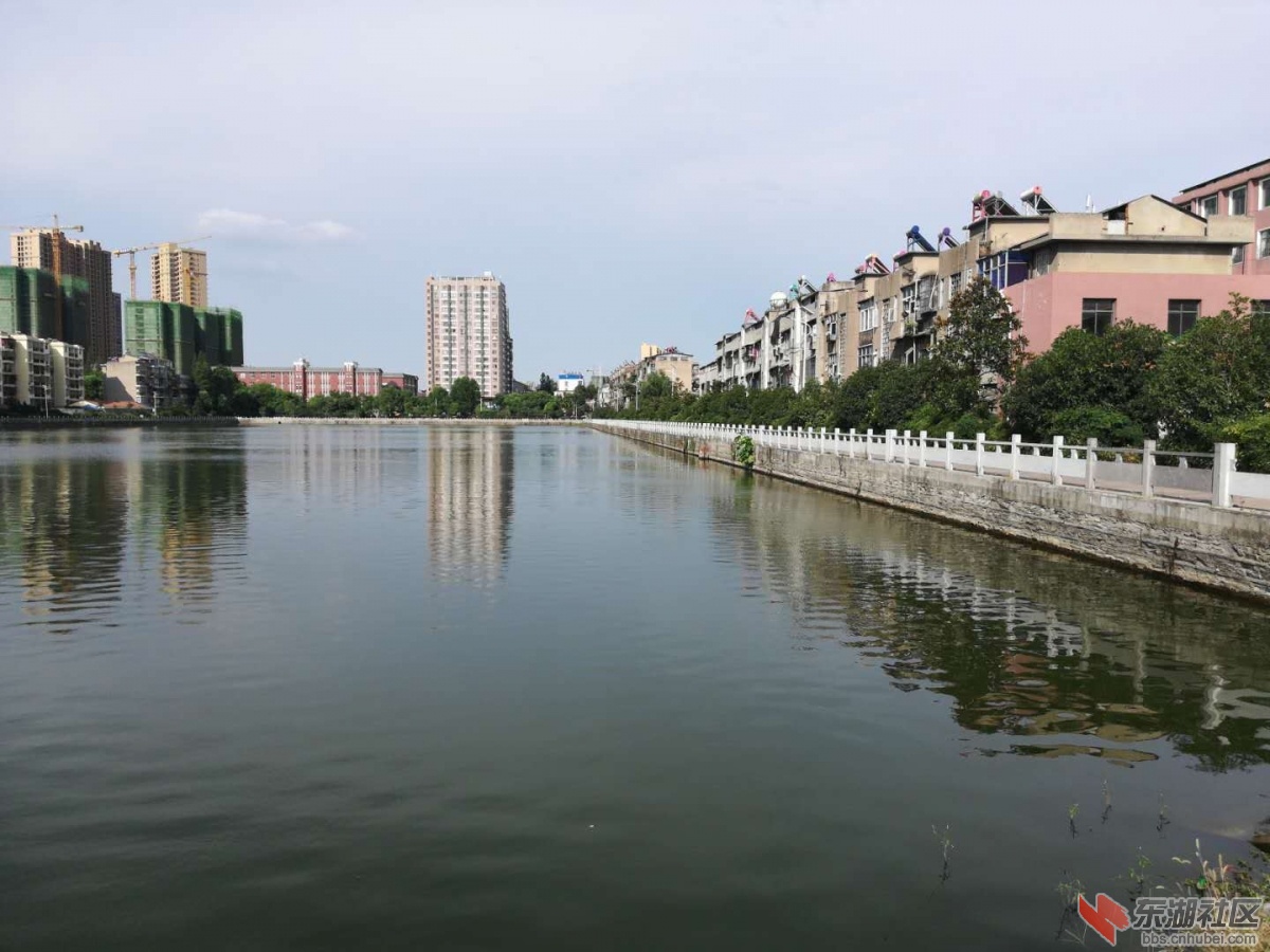 前川老河道3.jpg
