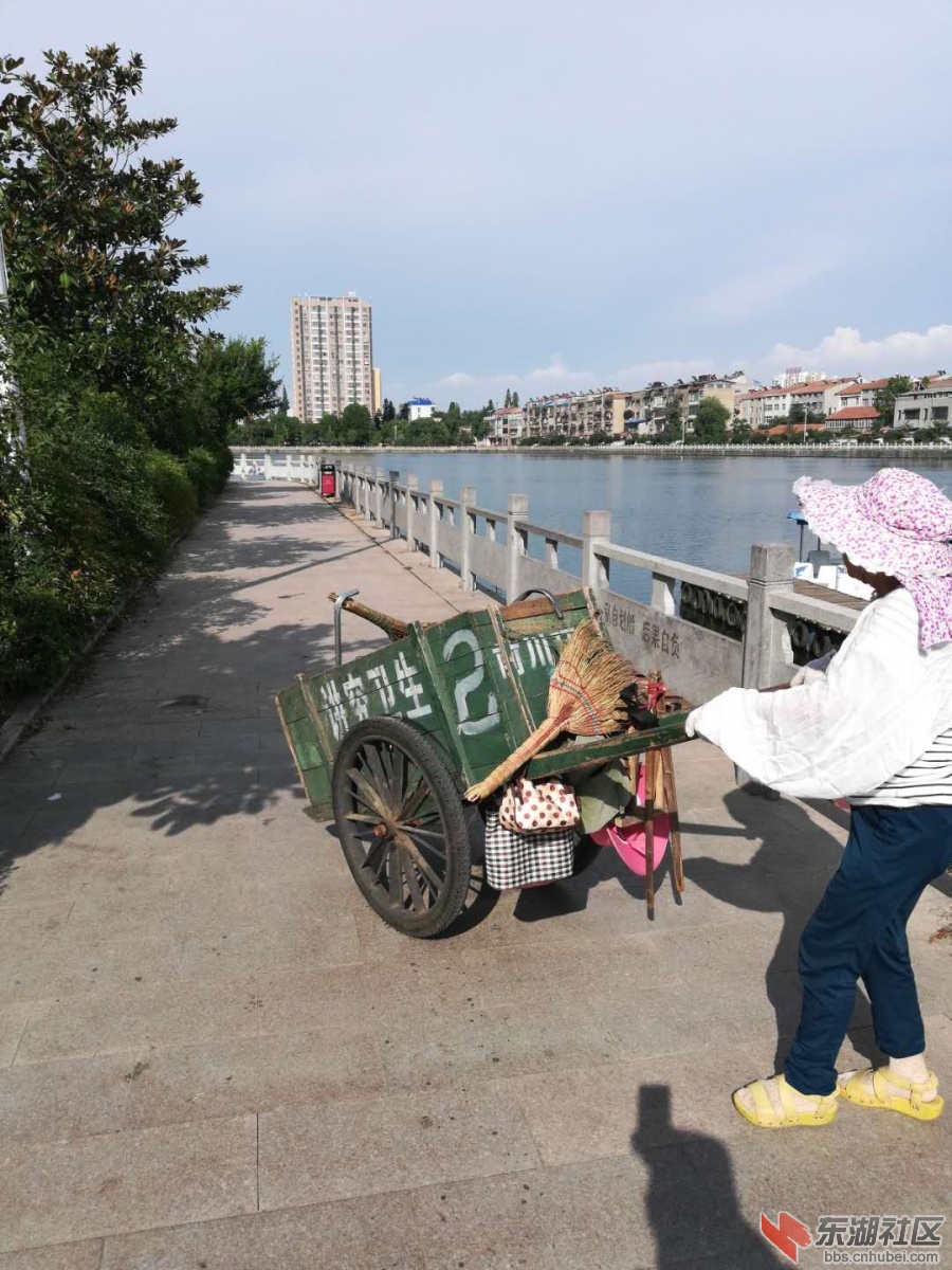 前川老河道4.jpg