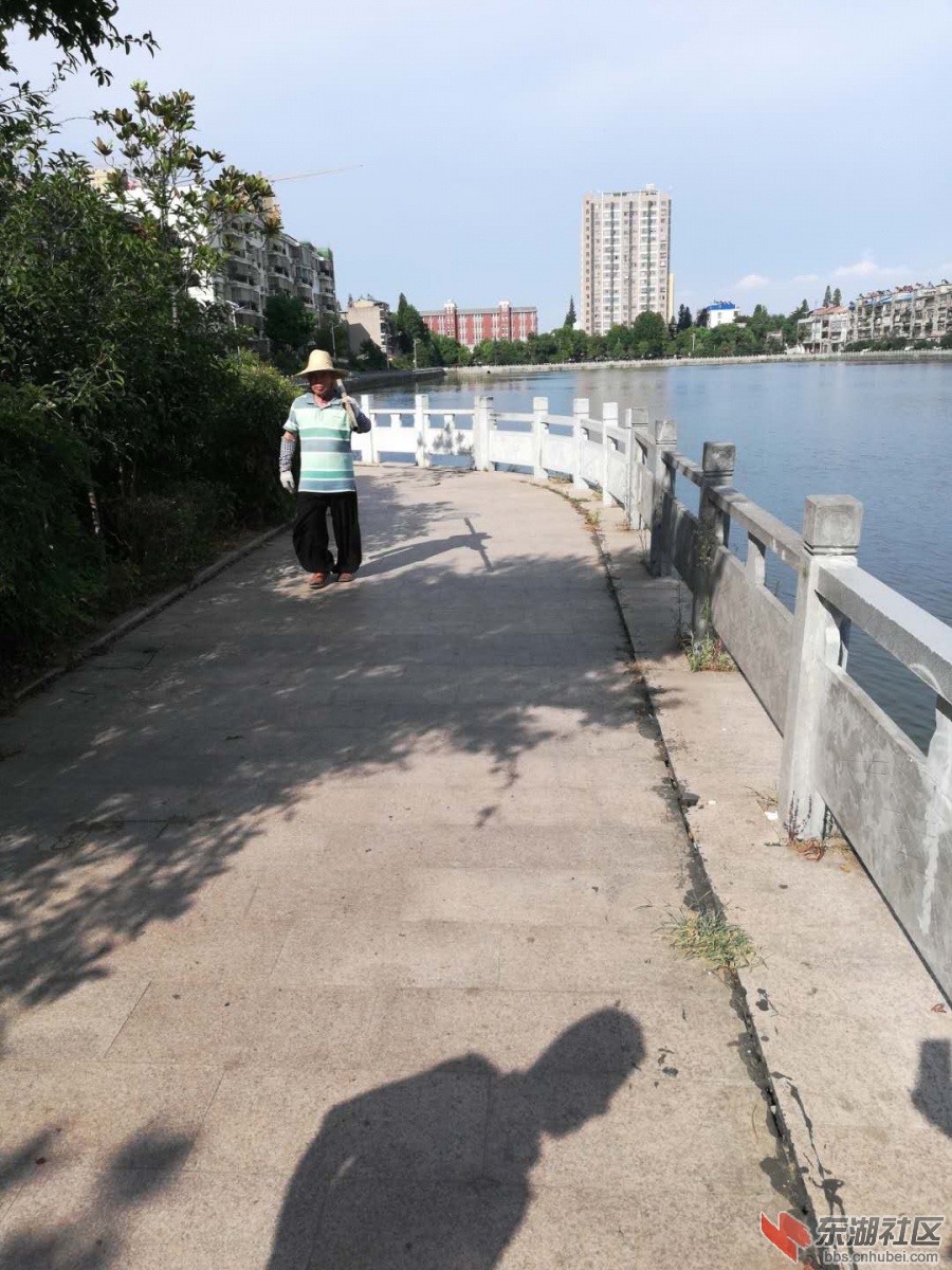 前川老河道5.jpg