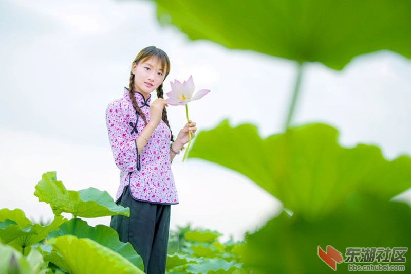 荷花女.jpg