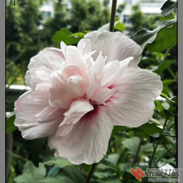 微信图片_20180726231544.jpg