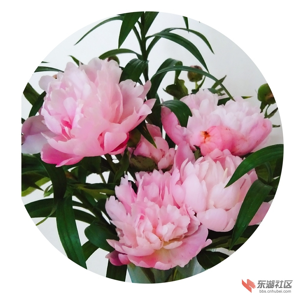 微信图片_20180726231622.jpg
