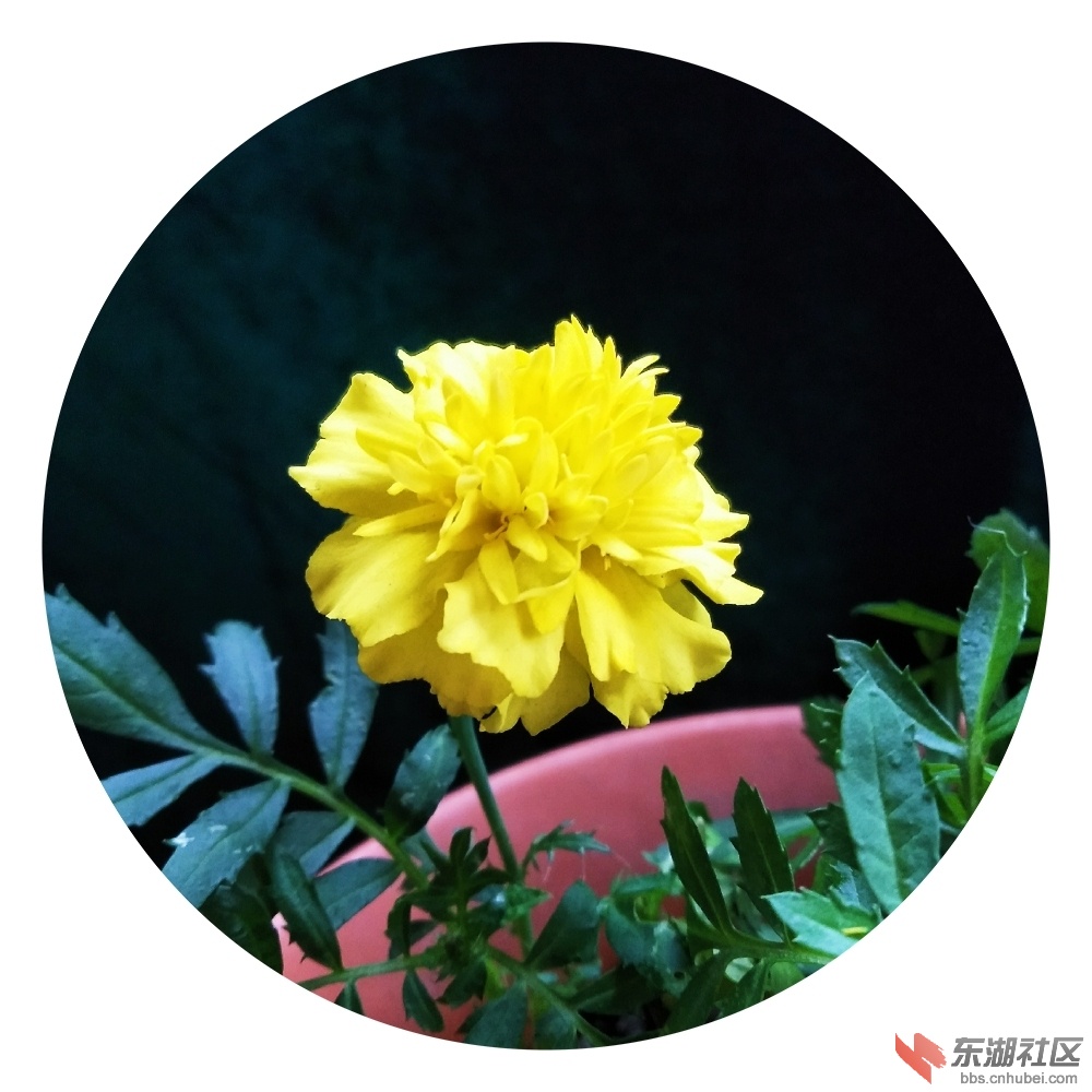 微信图片_20180726231629.jpg