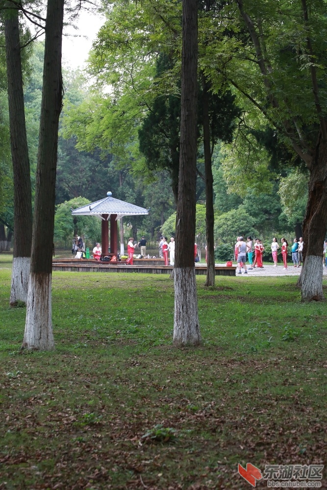 0L0B2541.JPG