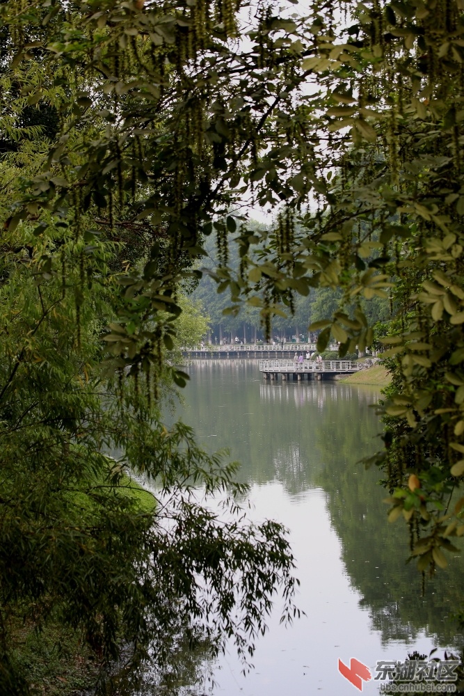 0L0B2545.JPG