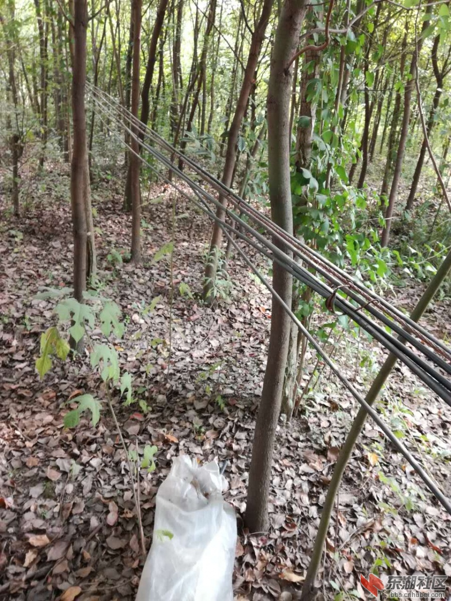 微信图片_20180727153122.jpg