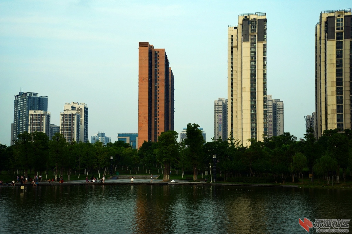 DSC_0102.jpg