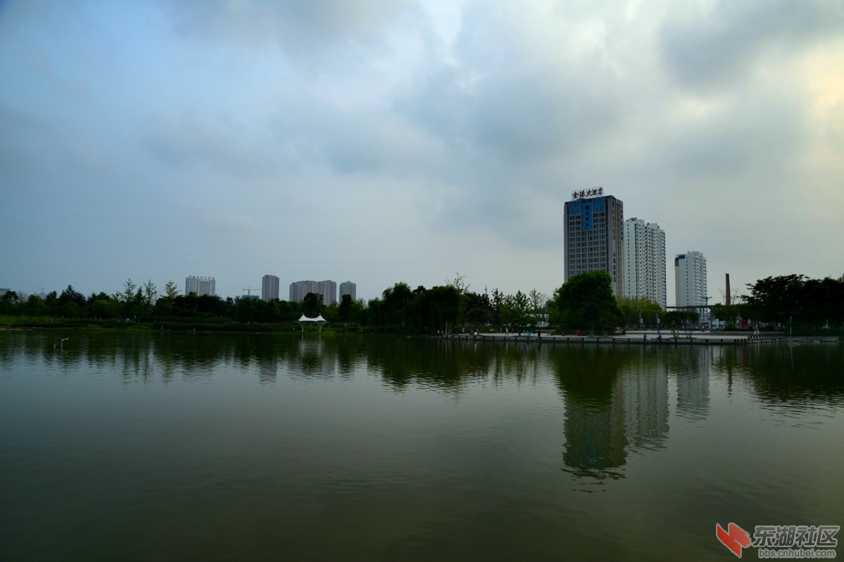 DSC_0139.jpg