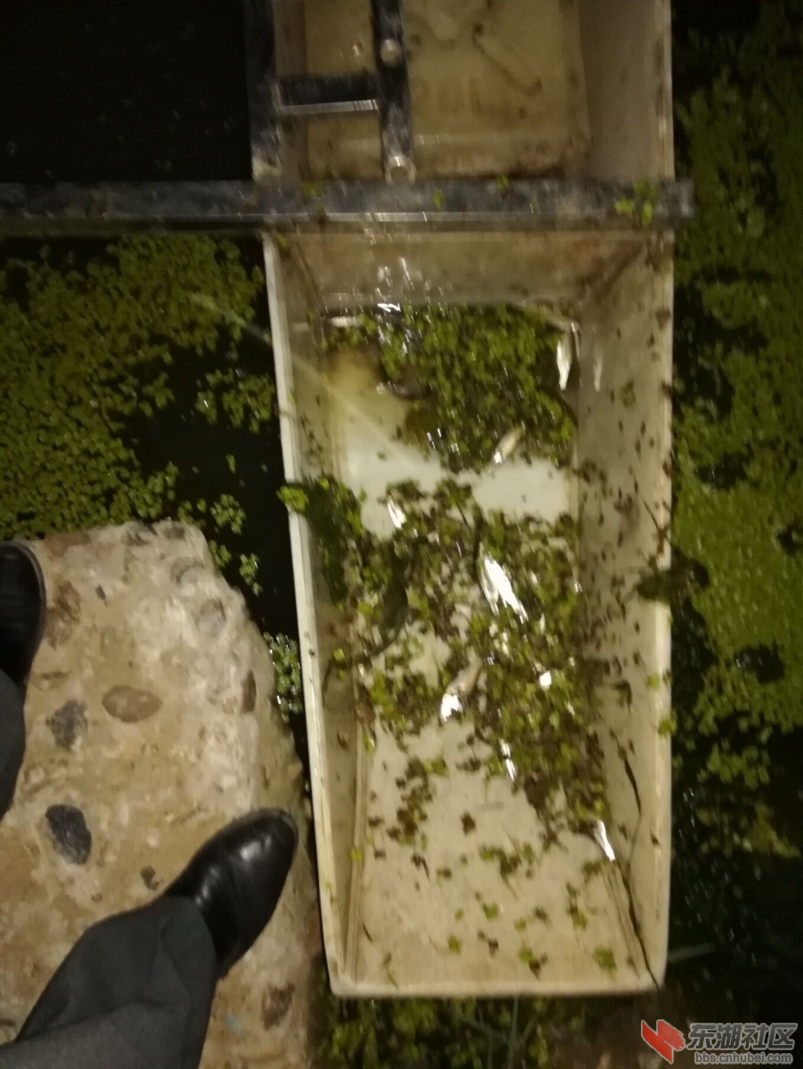 现场抓获电打鱼船只