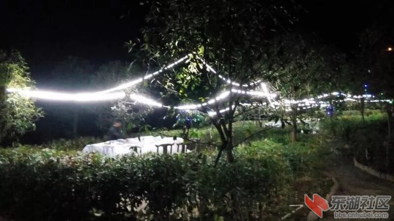 qq图片20180801220345.jpg