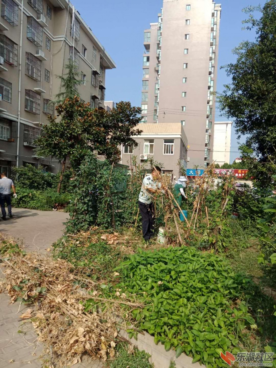 中央铭都3.jpg