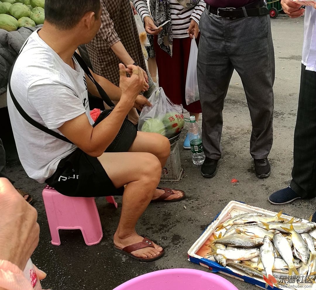 卖鱼贩.jpg