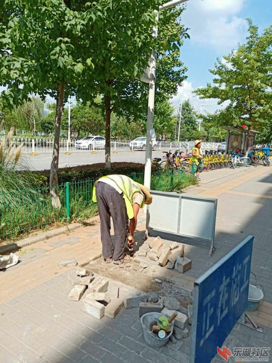 32FF9CF5874ACF6C707CAD9AF86D3053.jpg