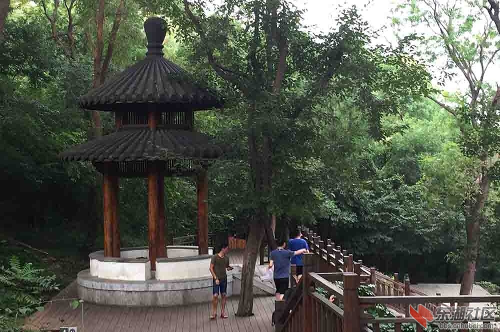 16.曾院平摄影.JPG