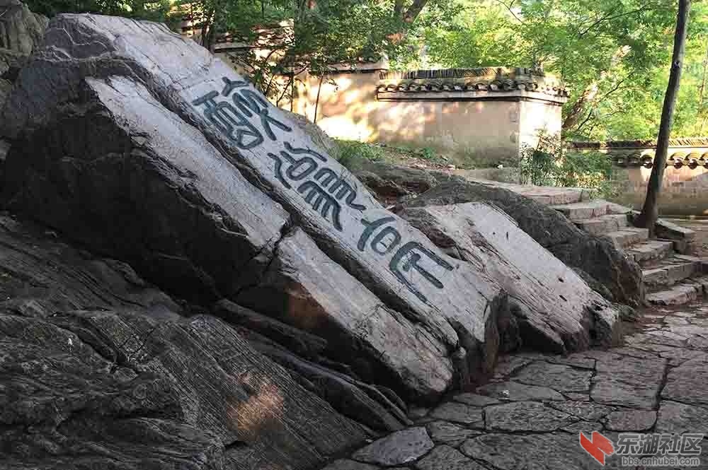 5.曾院平摄影.JPG