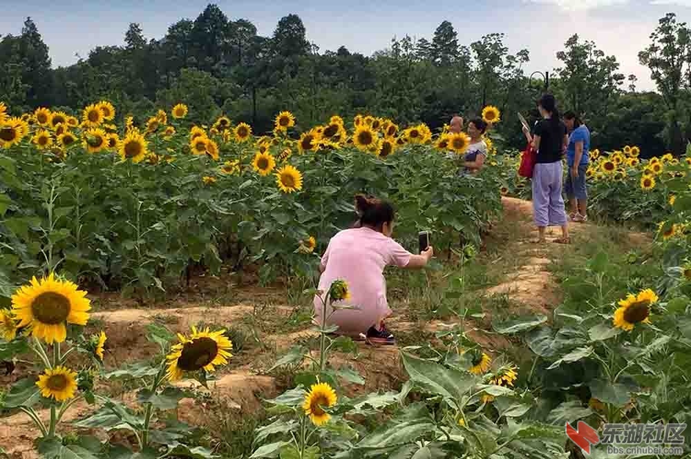11.曾院平摄影.JPG