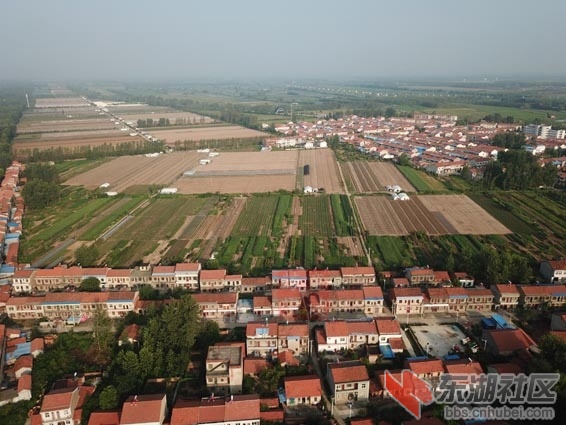 DJI_0037 - 副本.JPG