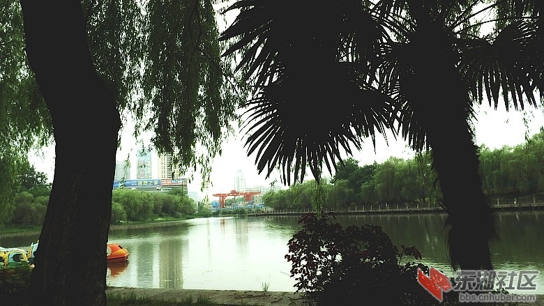 P4249250_conew1.JPG
