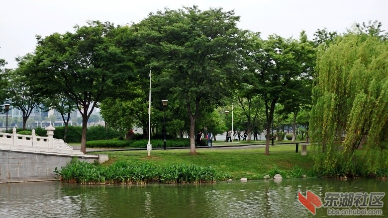 P4249257_conew1.JPG