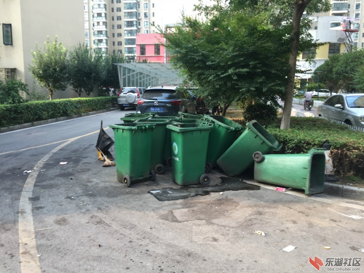 微信图片_201808131114035.jpg