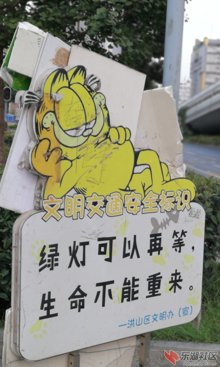 微信图片_20180813144458.jpg