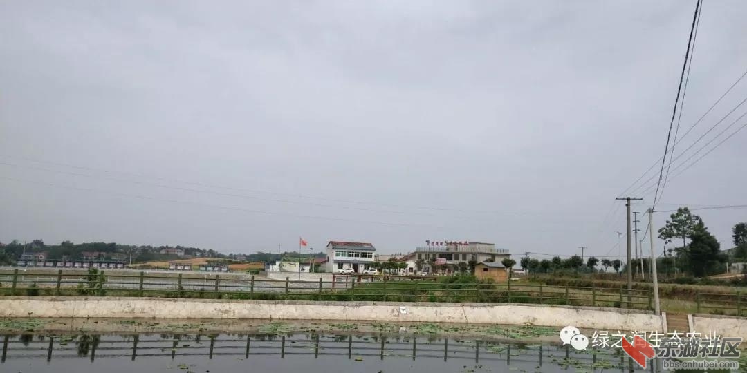微信图片_20180814204147.jpg