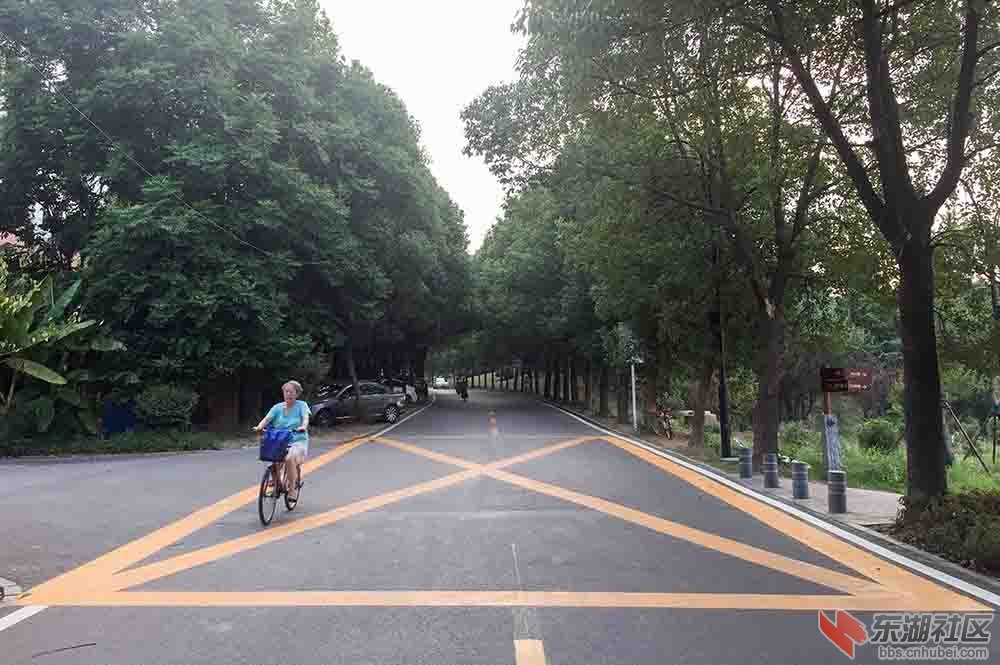 4.通往东湖绿道吹笛路华中科技大学附中南门段.JPG
