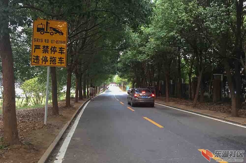 3.通往东湖绿道吹笛路段之二.JPG