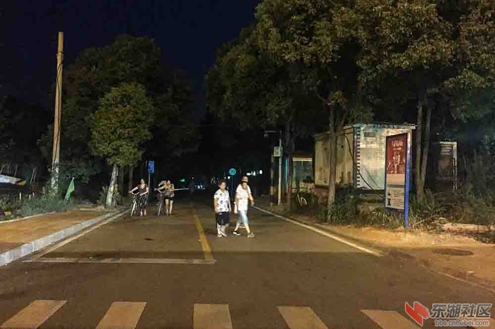 1.通往东湖绿道吹笛路段没有路灯一景..JPG