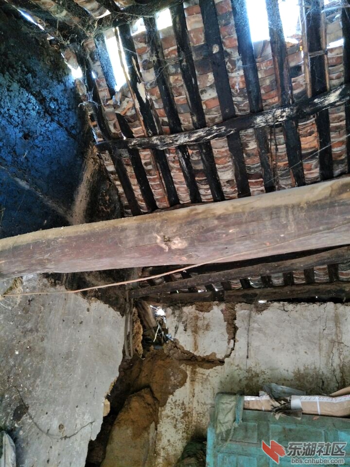 赵玉良居住危房 (1).jpg