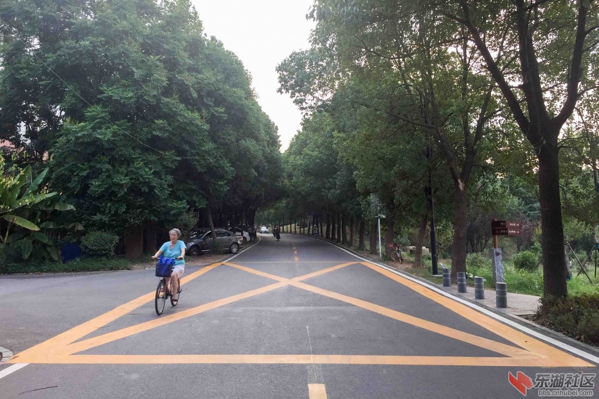 4.通往东湖绿道吹笛路华中科技大学附中南门段.JPG